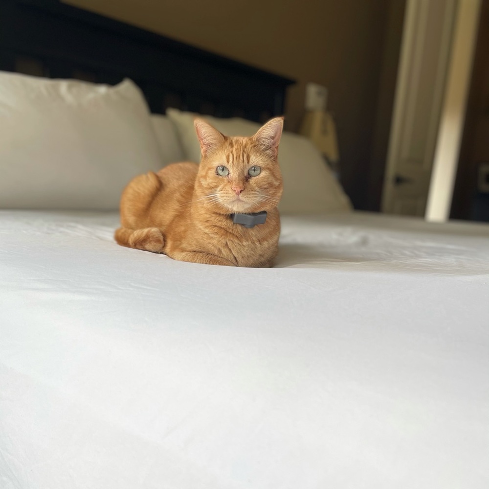 Meet your Posher, Angela